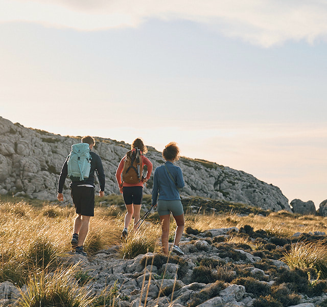 Three hikers with backpacks on stony path in sunshine.