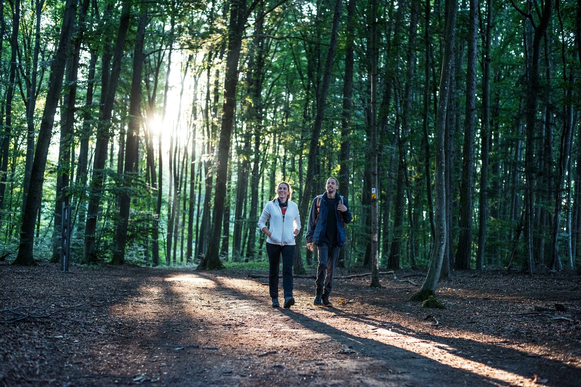 Wandelschoenen voor elk type wandelaar