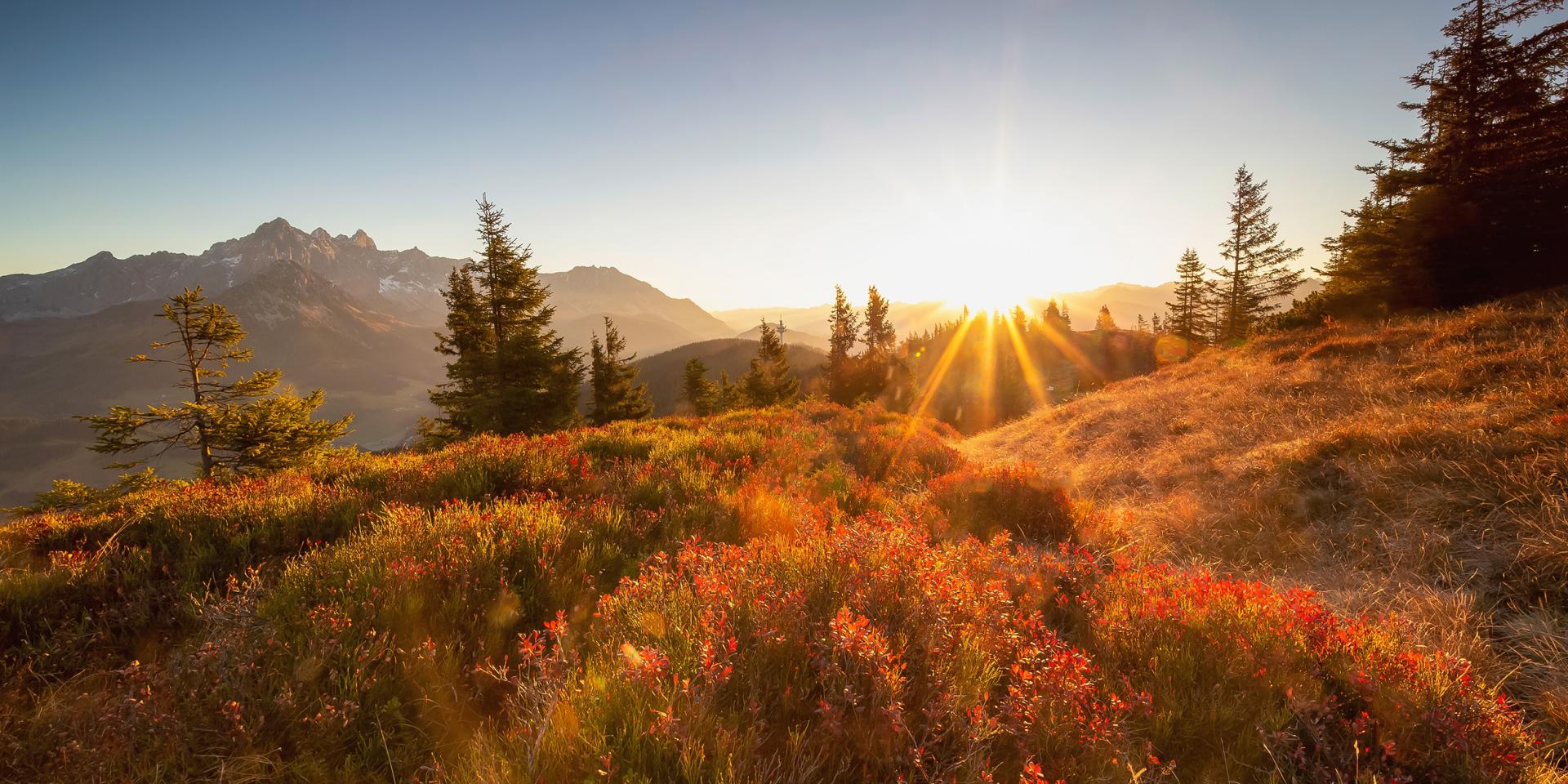 The hiking autumn