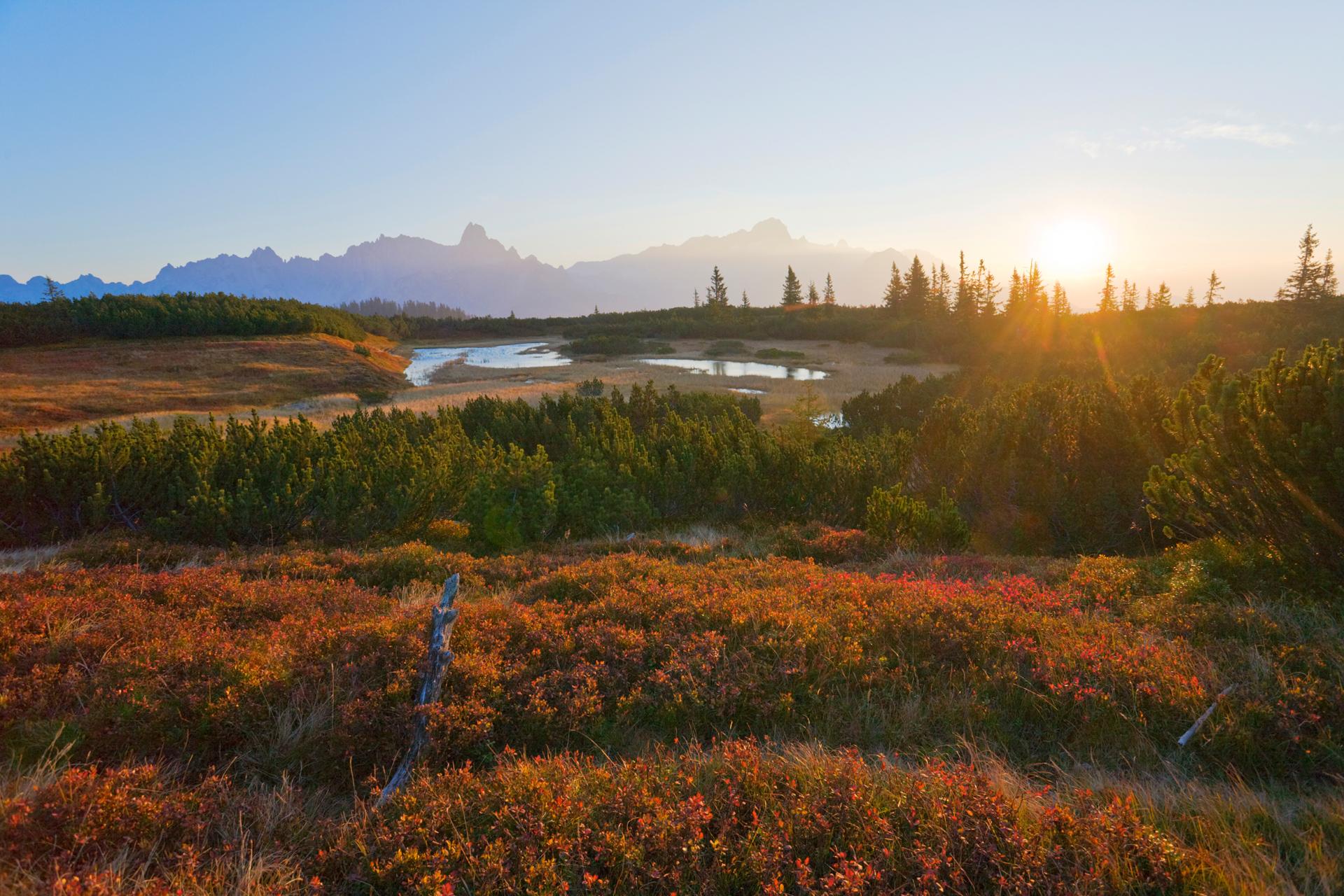 Réserve naturelle et européenne du Gerzkopf