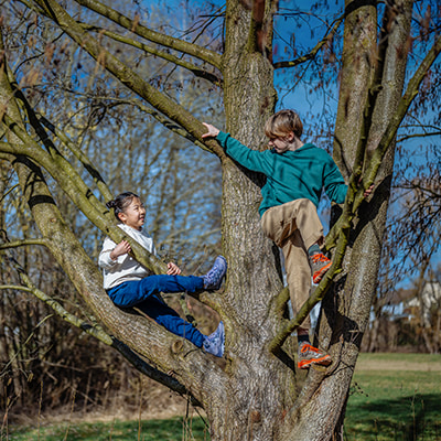 Zwei Kinder klettern auf einem Baum im Freien.