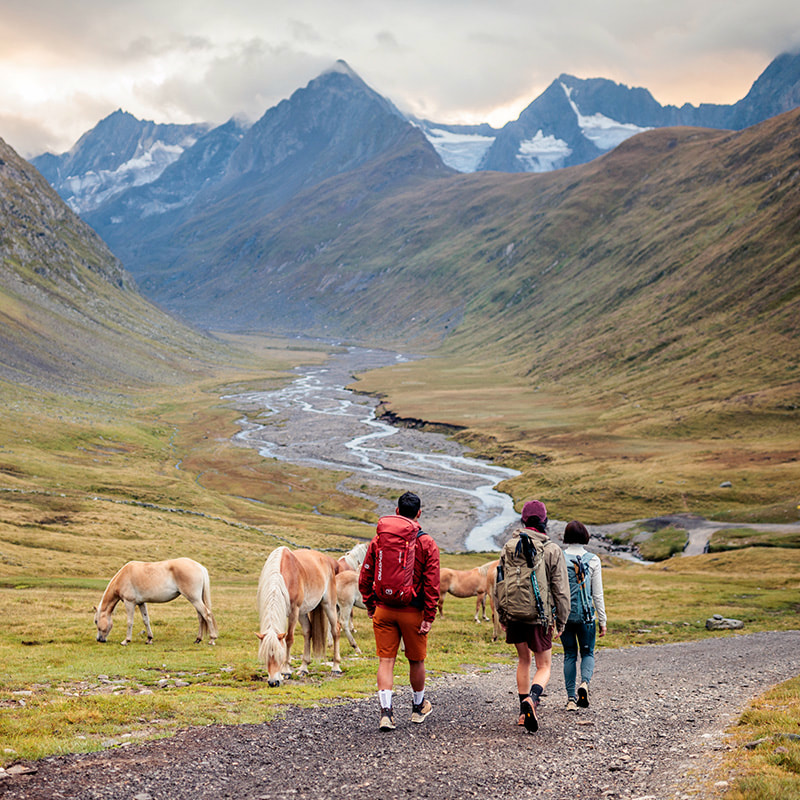Three people are hiking on a trail through a mountainous landscape. Horses are standing beside the path.