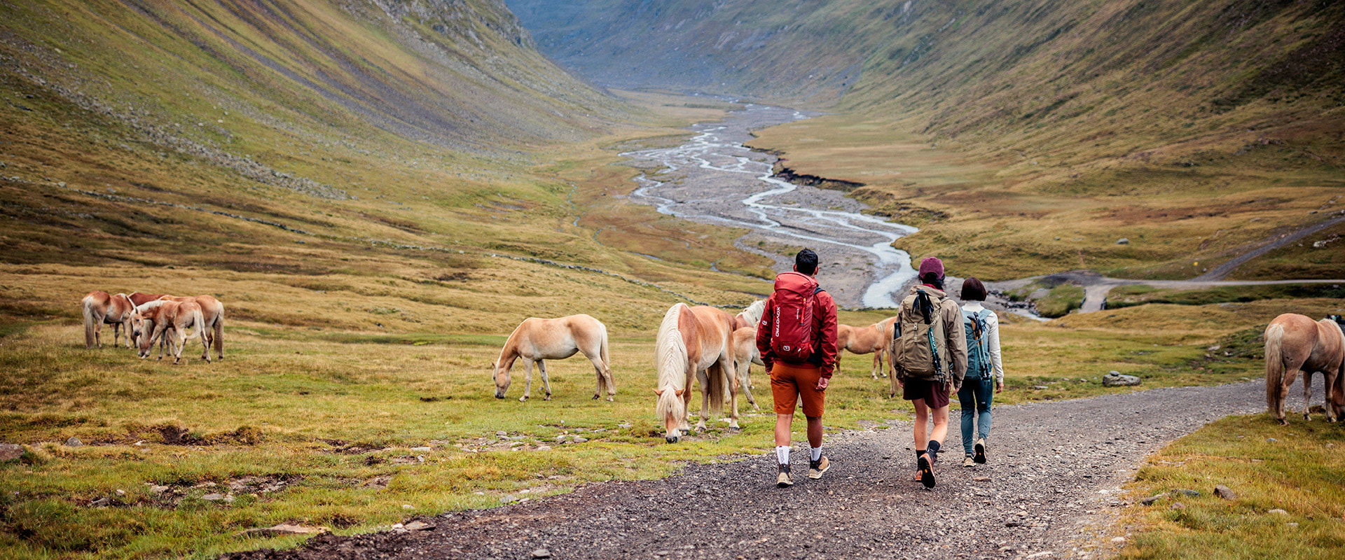 Three people are hiking on a trail through a mountainous landscape. Horses are standing beside the path.