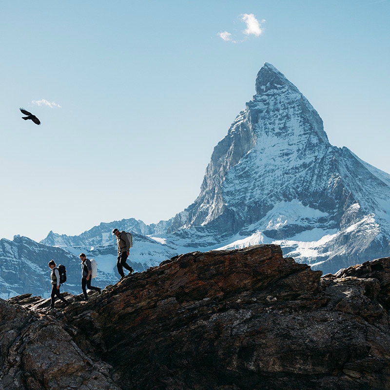 Three people are hiking on a trail through a mountainous landscape. Horses are standing beside the path.