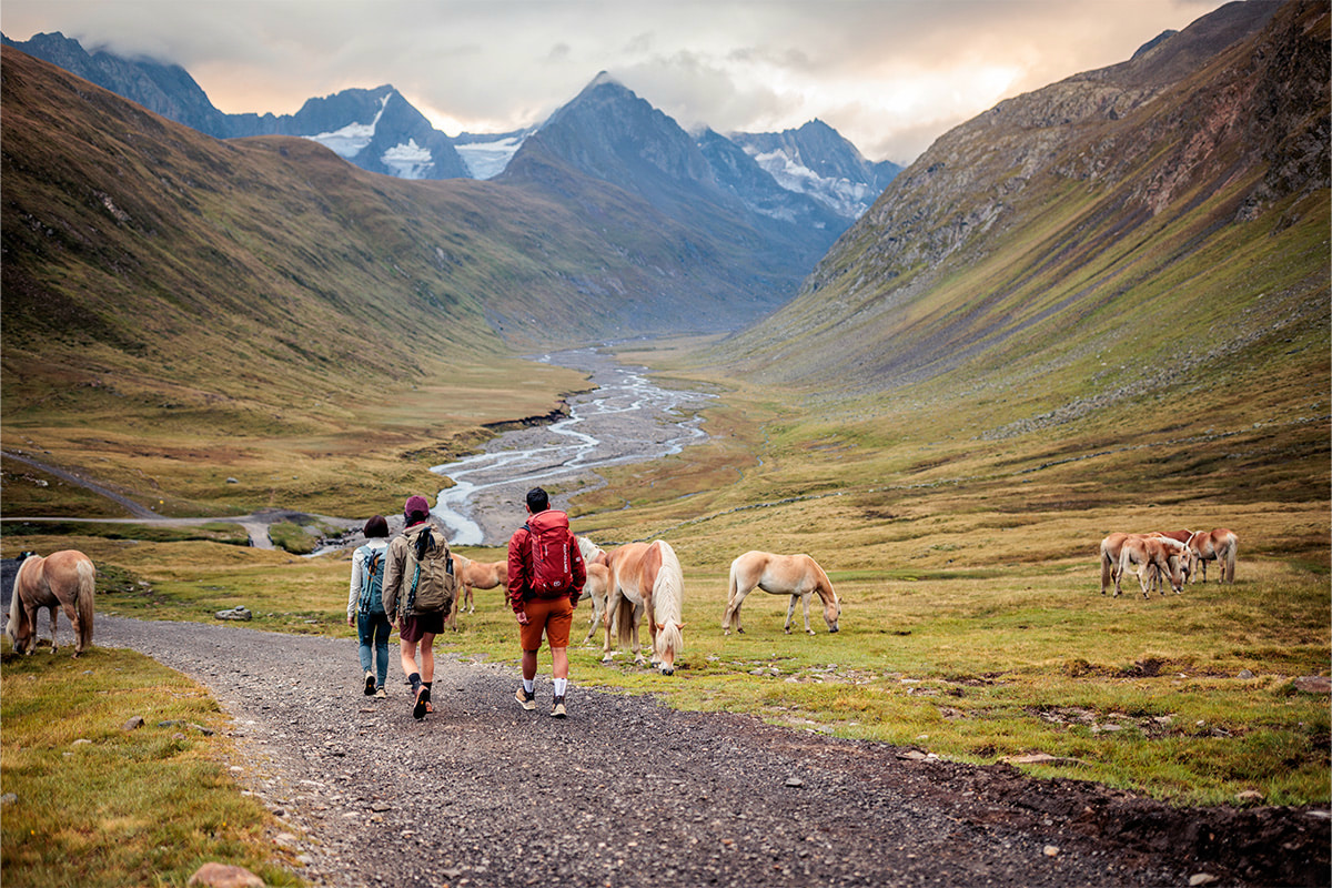 Fotografie zeigt drei Wanderer auf einem Weg in einem alpinen Tal mit grasbewachsenen Hängen und mehreren grasenden Pferden. Im Hintergrund sind schneebedeckte Berggipfel und ein kleiner Fluss sichtbar, die natürliche Landschaft und Outdoor-Aktivität betonen.