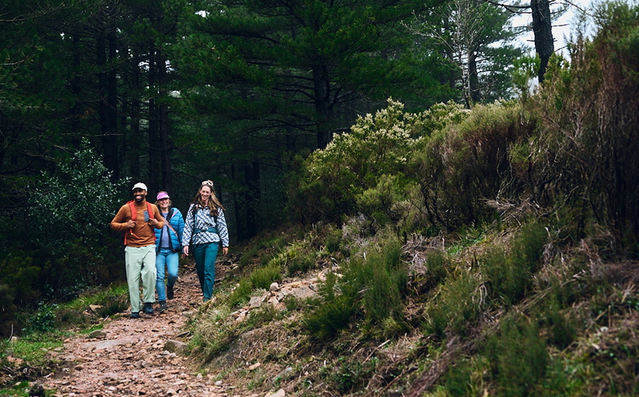 Trois personnes marchent sur un chemin de campagne à travers une forêt verdoyante.