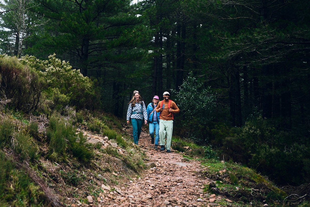Gruppe beim Wandern auf einem schmalen Pfad in einem Wald, umgeben von Bäumen und Gebüsch.