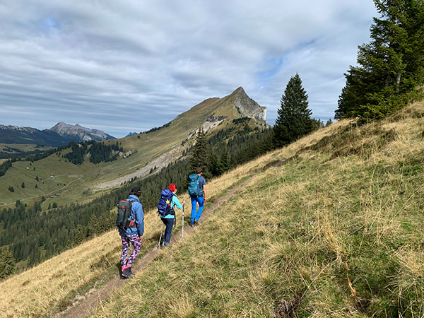 Trekkingtocht over de Hardergrat