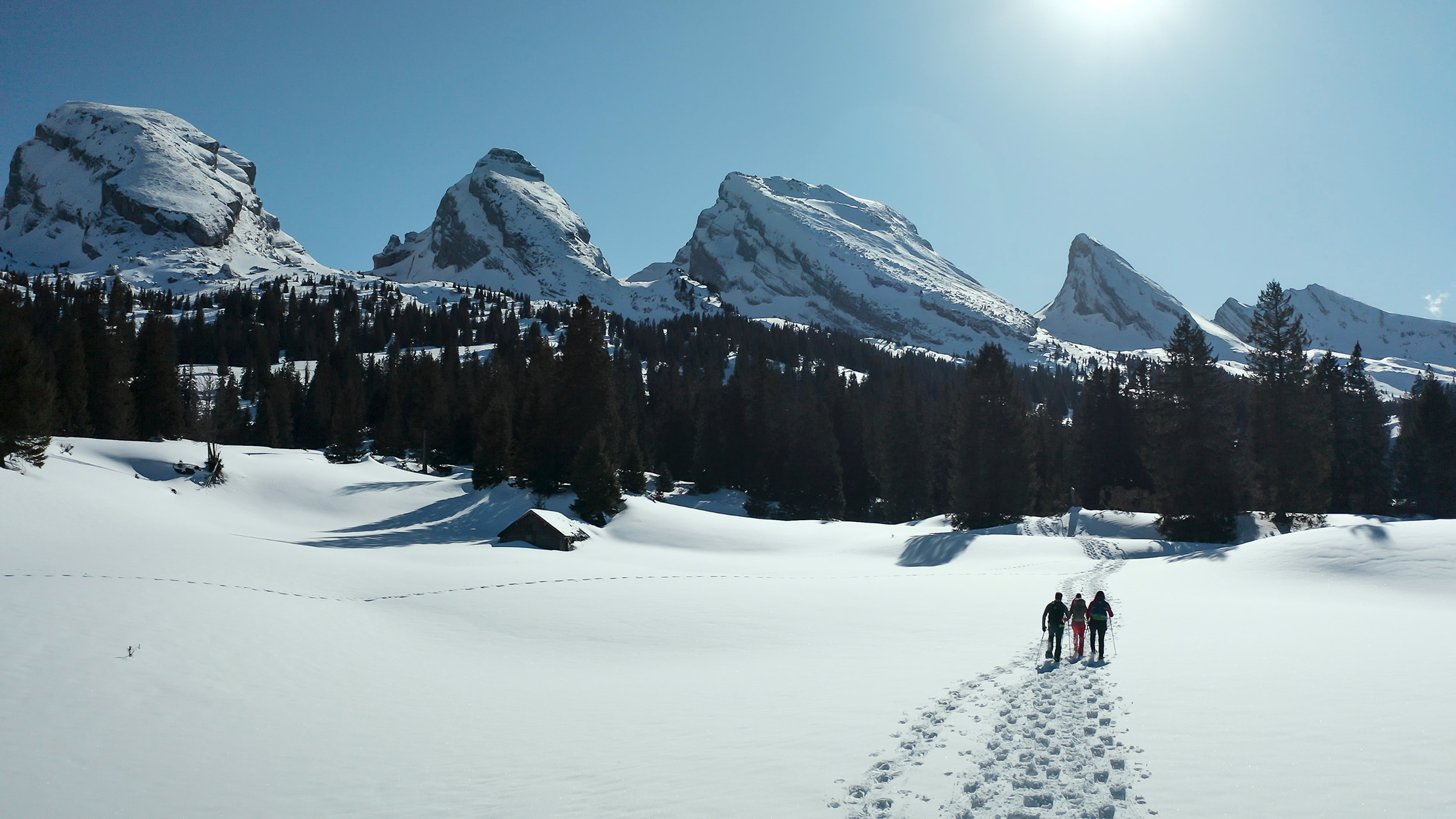 Snowshoeing in Toggenburg