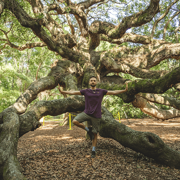 Angel Oak Park