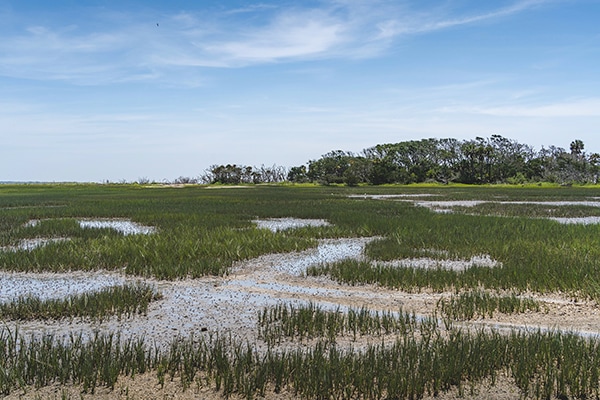 Botana Bay Heritage Preserve Wildlife Management Area