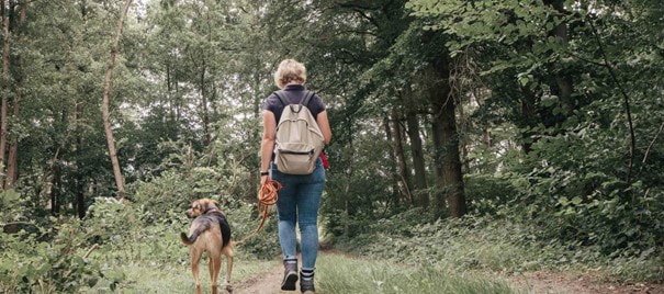 Höchste Punkte der Niederlande und Belgiens: Kemmelberg