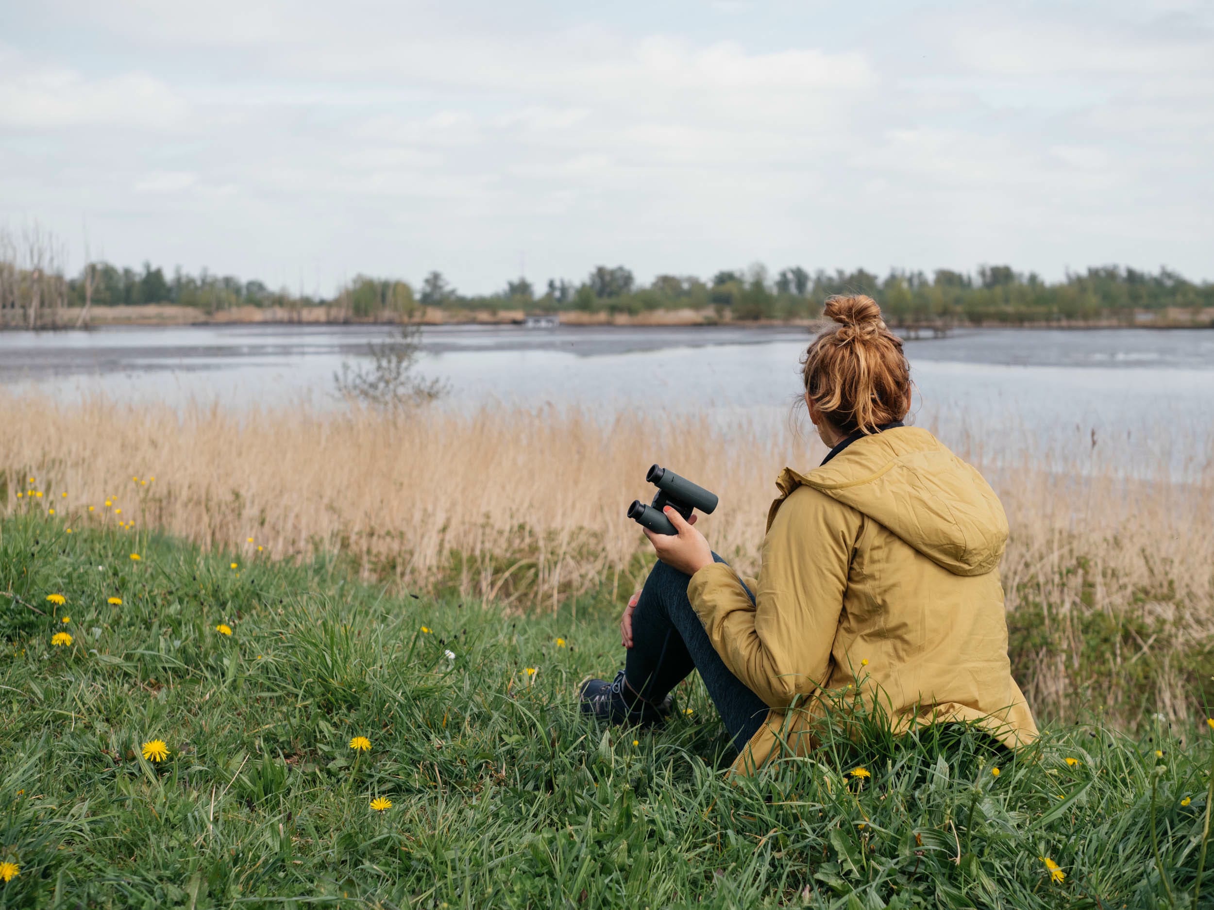 Tips for wildlife observation