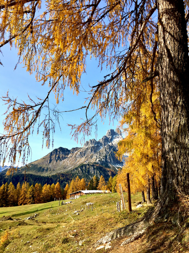 Giro Sulzenschneid - Kaserboden Hofalm