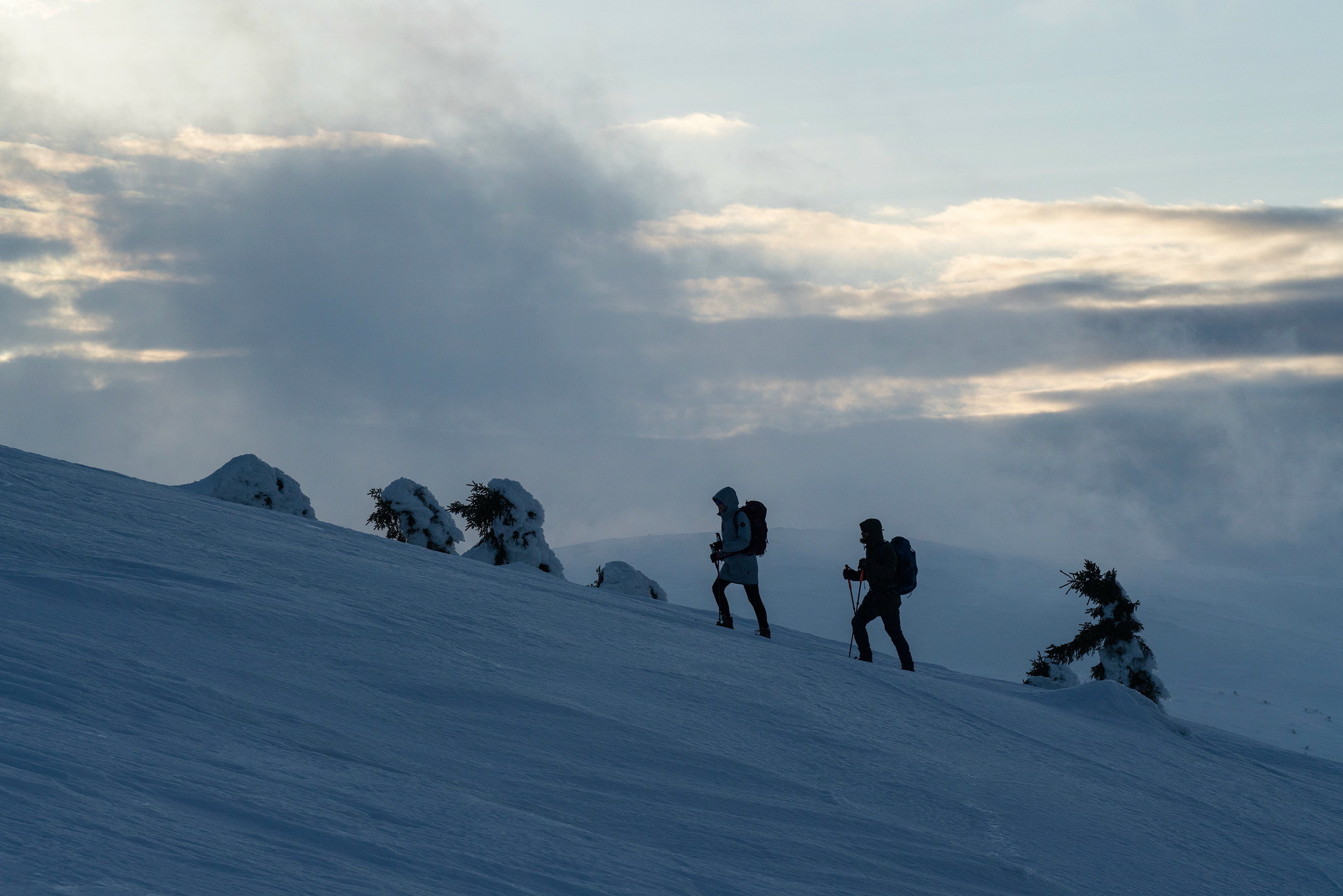 Winter hikes