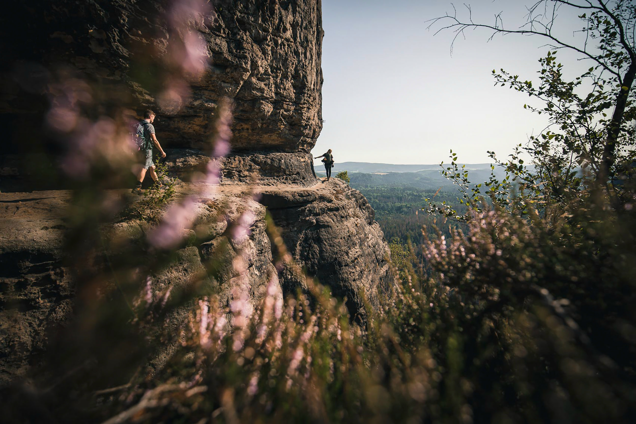 Elbe Sandstone Mountains: Häntzelstiege