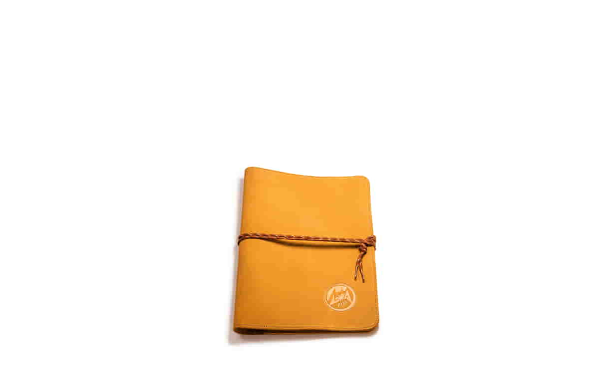 Pochette iPad