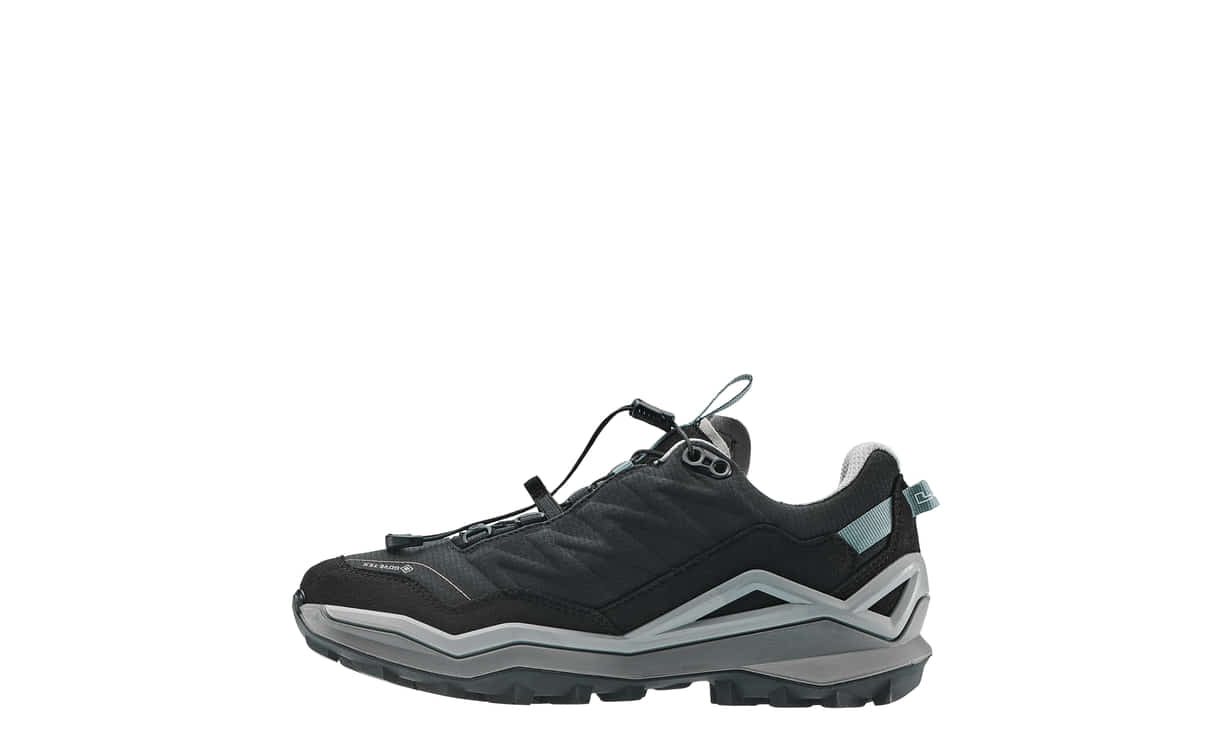 MADDOX PRO GTX LO SL Ws