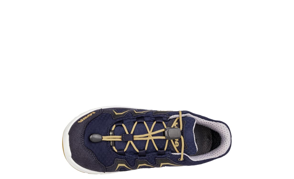 Lowa innox evo gtx low store