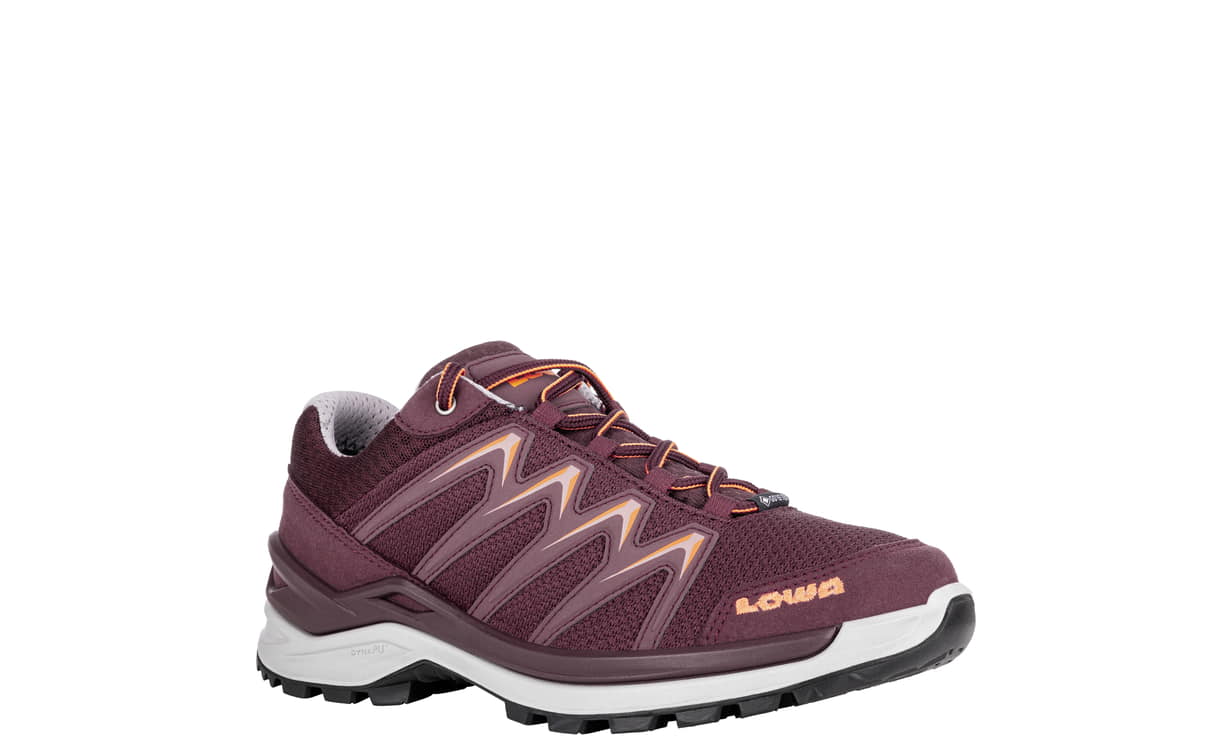 Lowa renegade gtx lo women's store