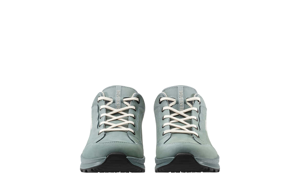 RENEGADE EVO GTX LO Ws