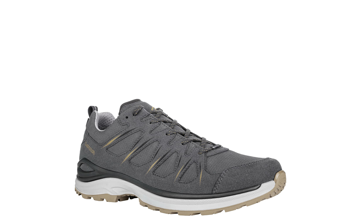Lowa renegade 2 gtx low top