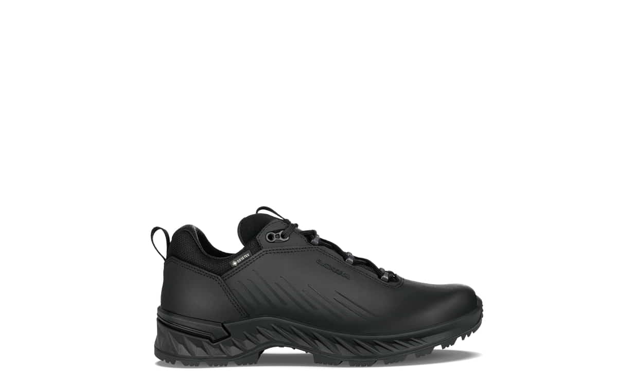 LOWA ZICON GTX LO
