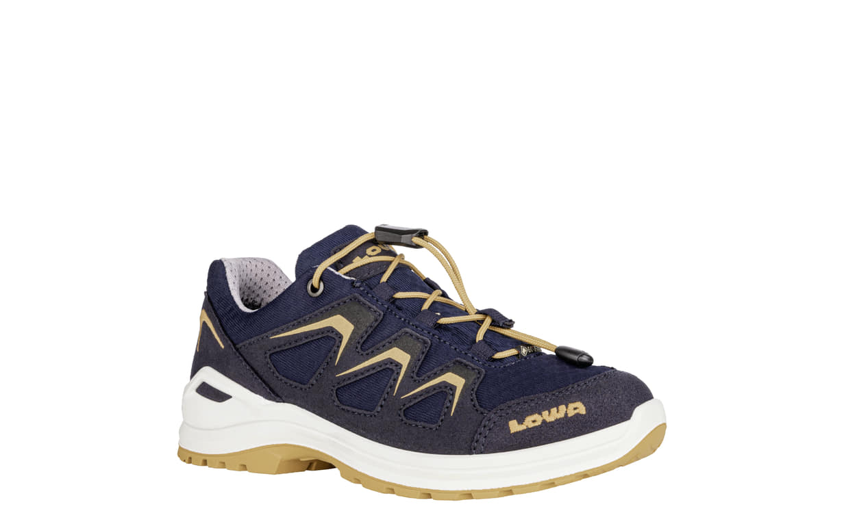 Lowa innox evo gtx low store