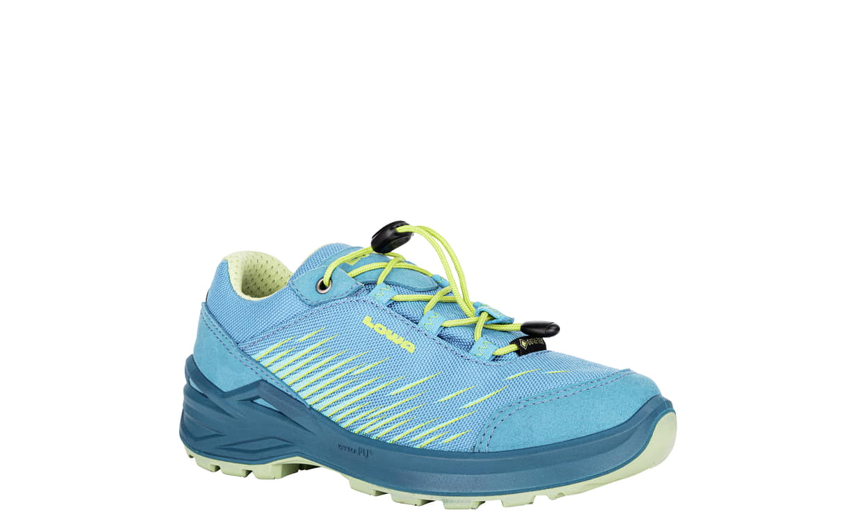 Lowa women's renegade gtx lo shoe store