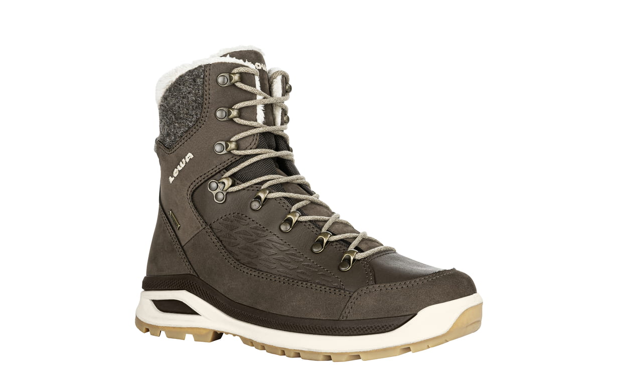 Lowa renegade evo ice gtx ws cheap