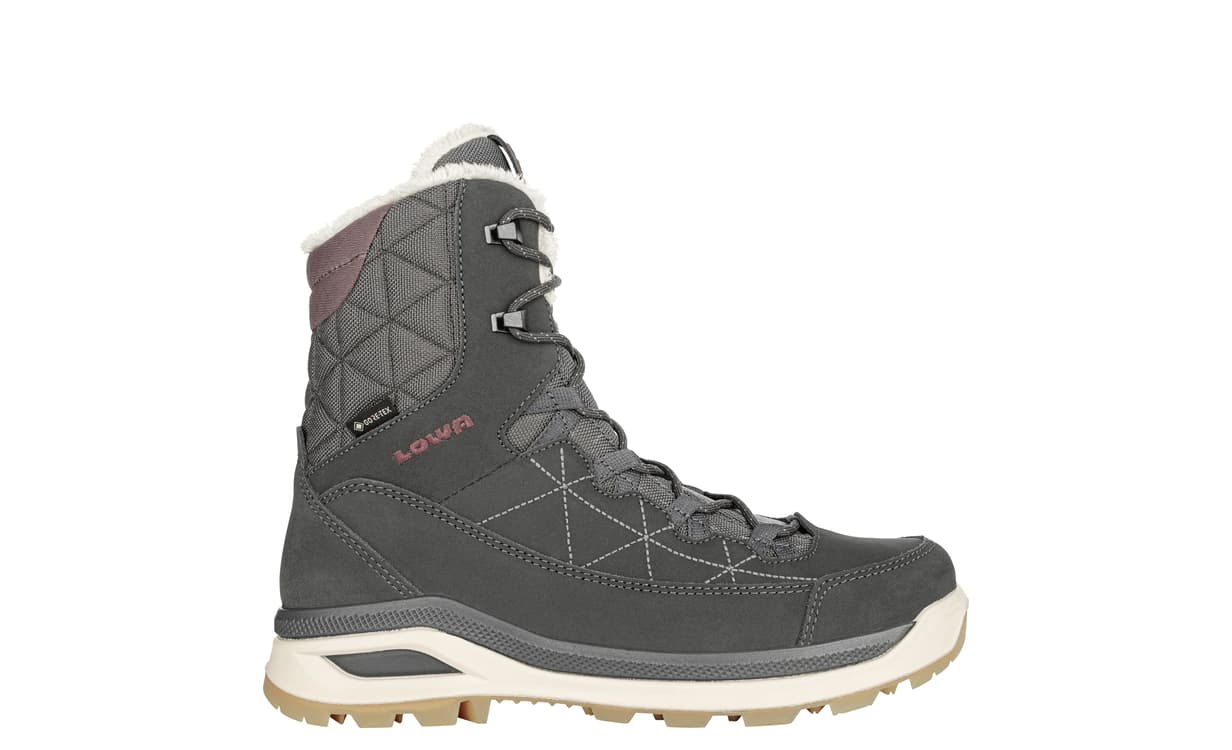 Lowa renegade evo ice gtx ws sale