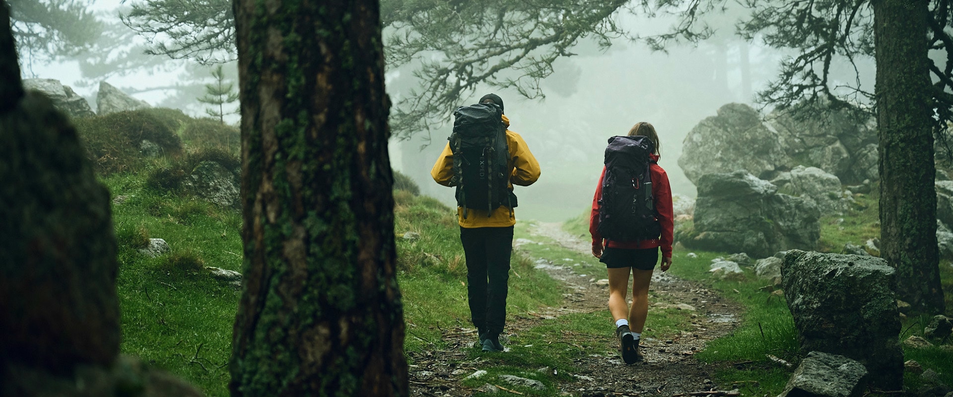 Two people, a man wearing a yellow rain jacket and a large hiking backpack, and a woman wearing a red rain jacket and a hiking backpack, walking through a misty forest landscape.